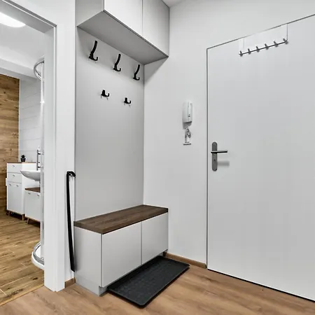 Rezidence Manesova By Mountain Ways Appartement