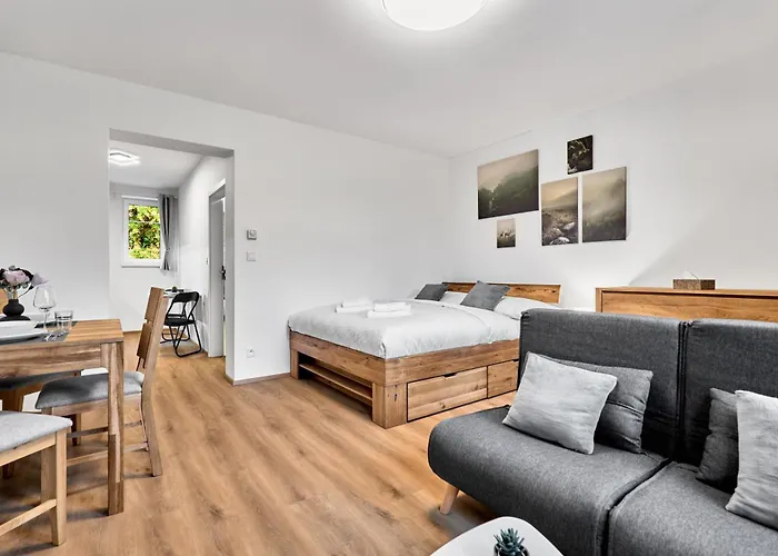 Rezidence Manesova By Mountain Ways Appartement *