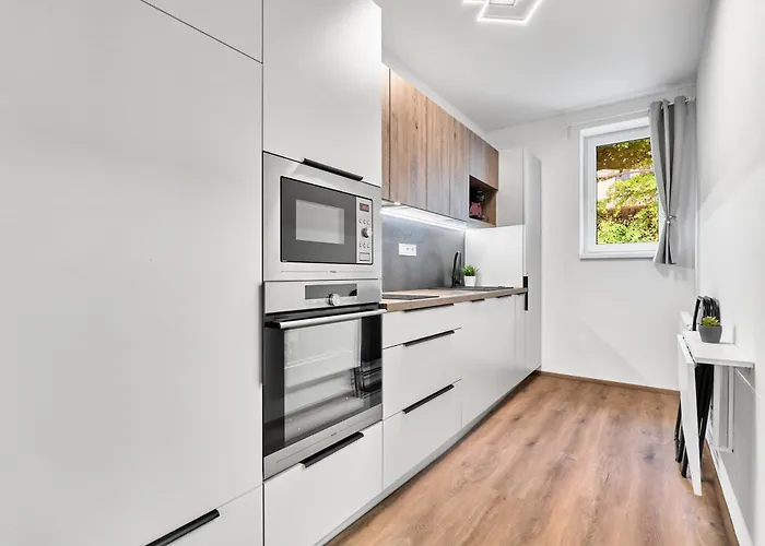 Rezidence Manesova By Mountain Ways Appartement