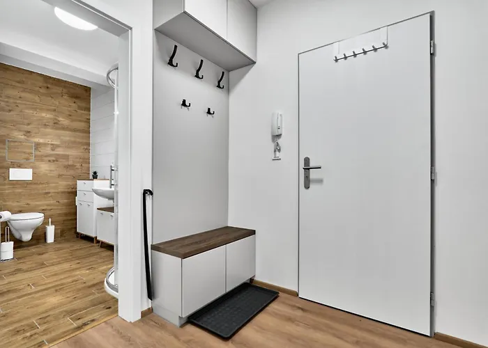 Rezidence Manesova By Mountain Ways Apartament