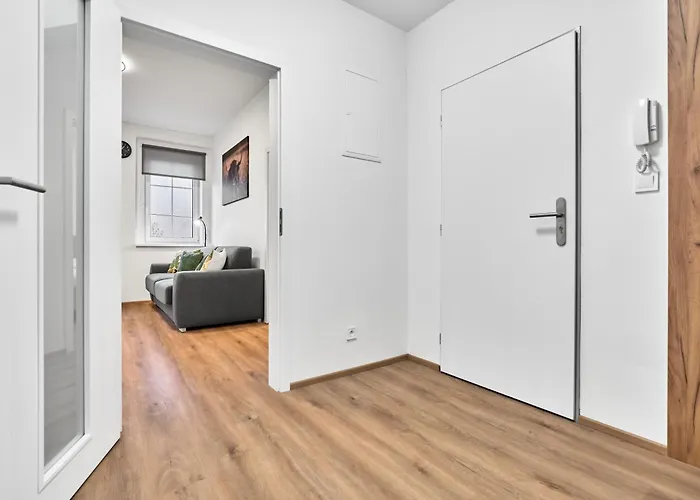 Rezidence Manesova By Mountain Ways Appartement *
