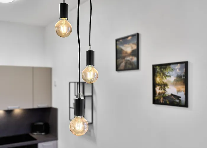 Rezidence Manesova By Mountain Ways Appartement